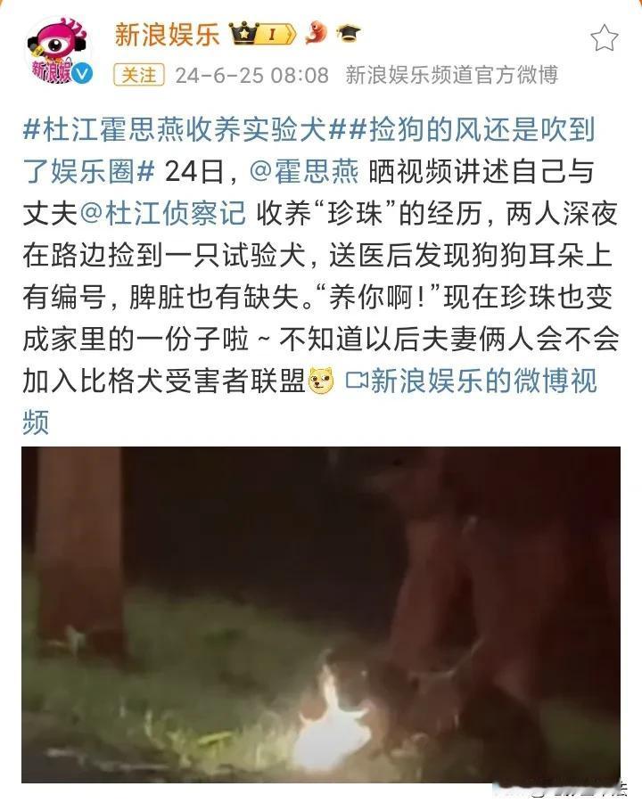 霍思燕夫妇太棒了，给娱乐圈添了一束光！霍思燕、杜江夫妇两人在深夜捡到了一只流浪的