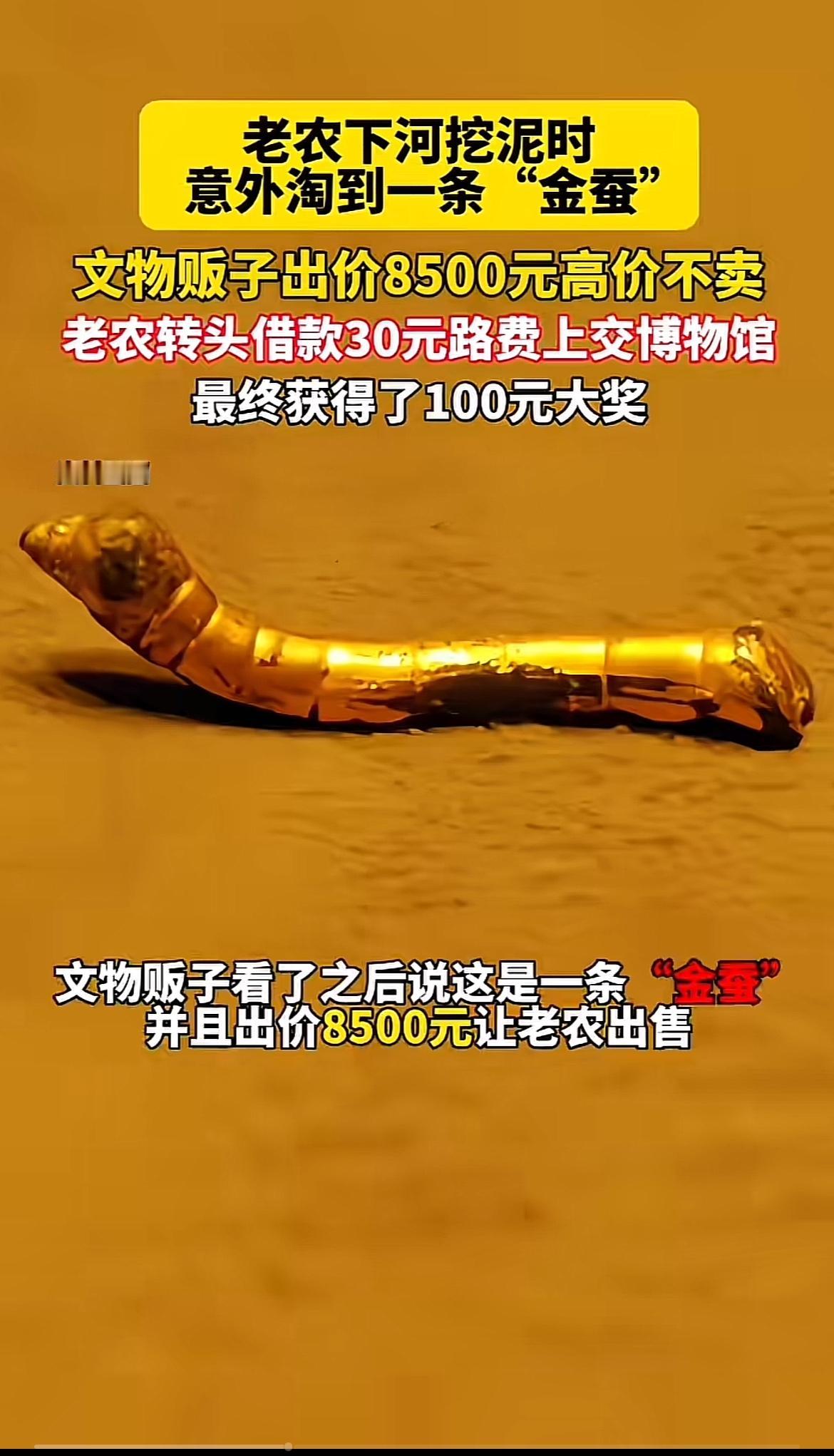 老农意外挖到“金蚕”的故事太让人感慨。1984年谭福全挖到“金蚕”，当时有人出8