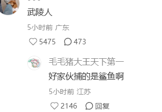 忍不住好奇这房子里住着怎样的人 