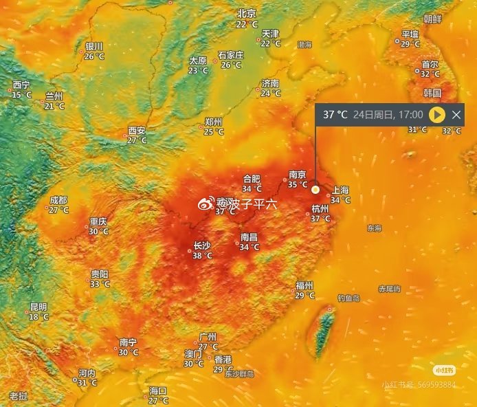 (转发)目前全球气温超过江浙沪的只有___沙特阿拉伯🇸🇦[摊手][摊手][摊