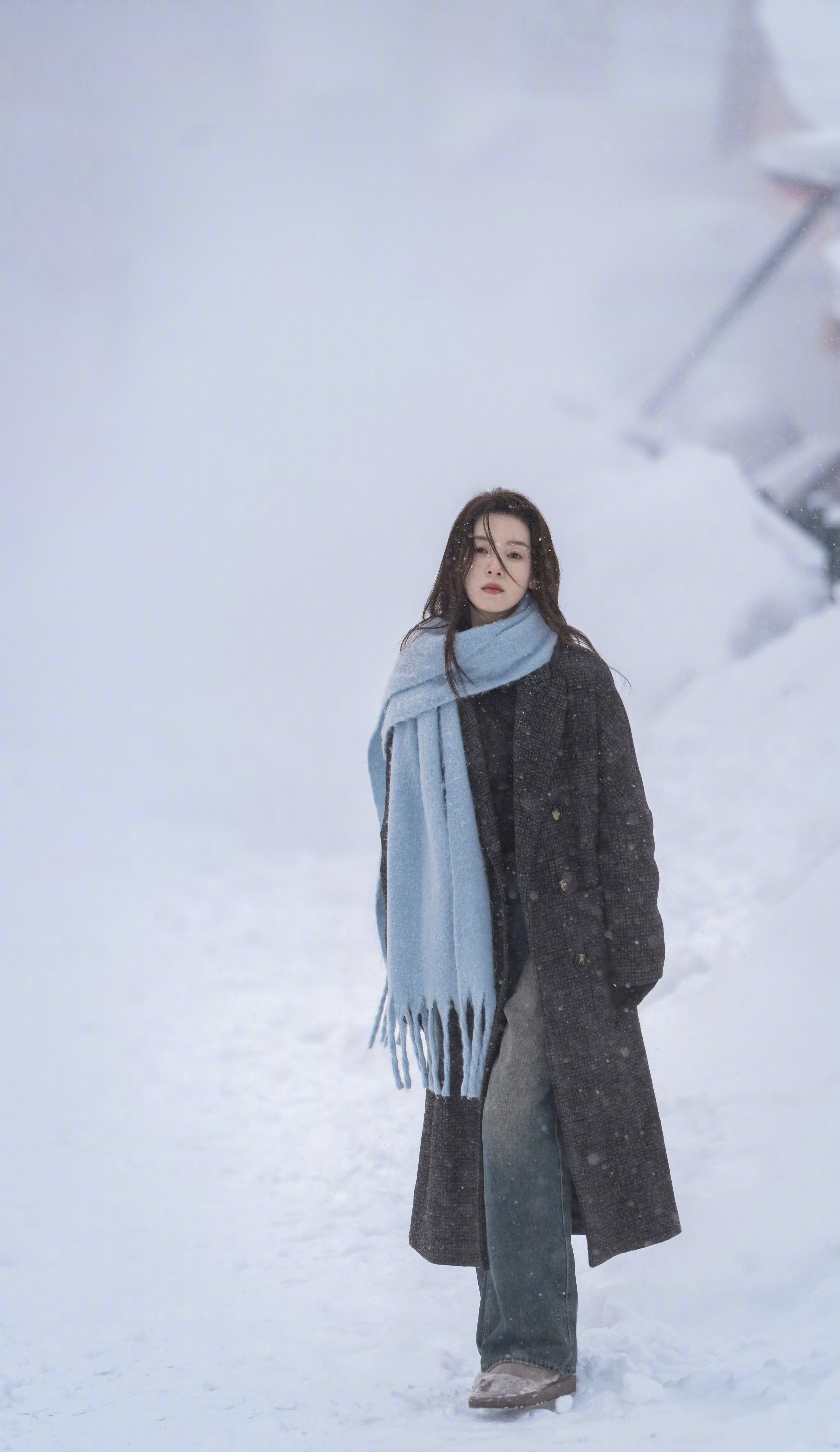 嗑颜bot 陈瑶  冬日来信📨 