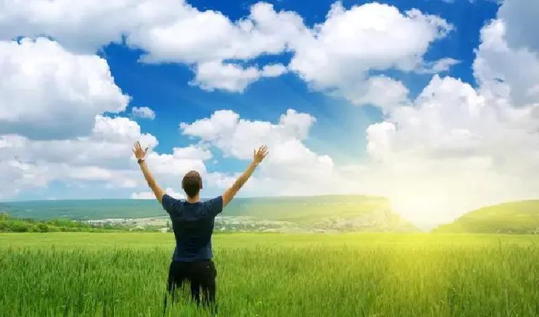 在2024年的全球幸福报告中，为什么80%的高收入者仍感空虚？原来，幸福的核心竟