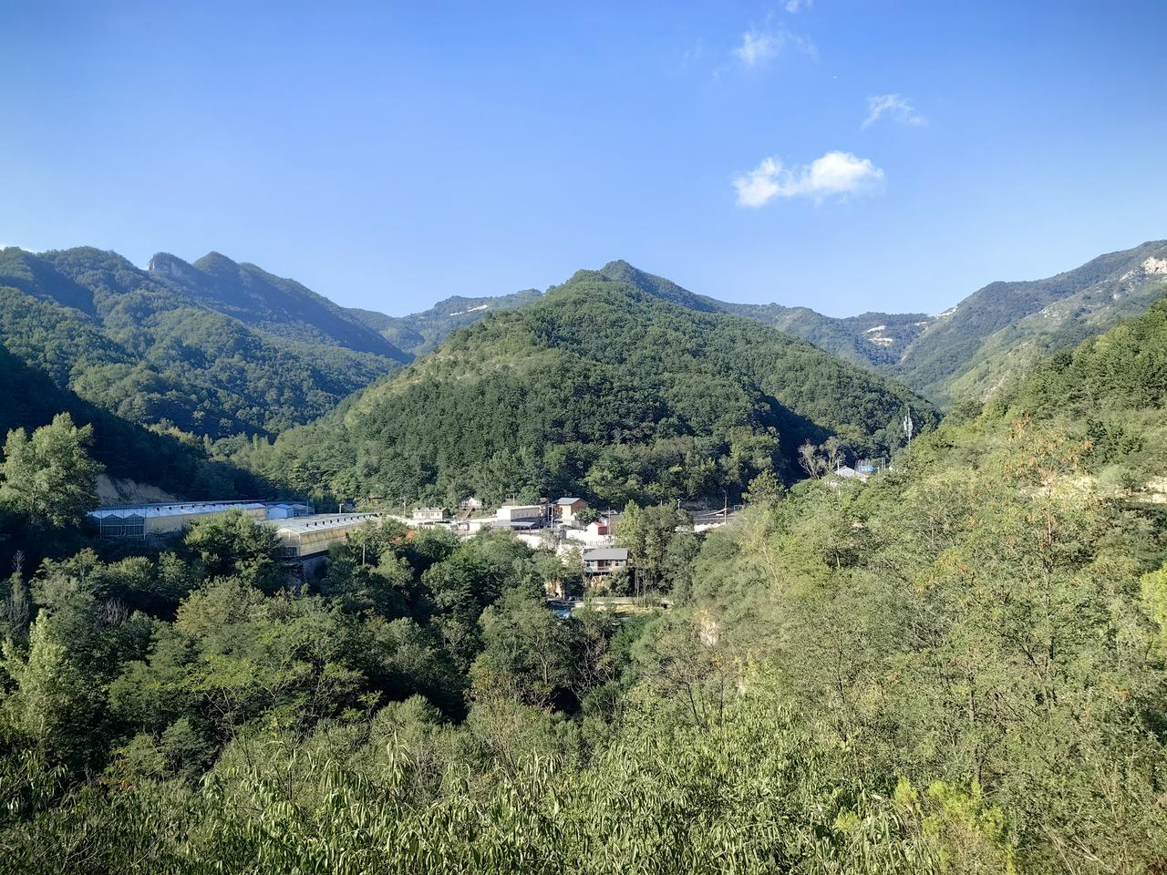 理论就是理论，来于现实，高于现实，指导现实。//@游乐场枫叶1b1:波浪理论不是