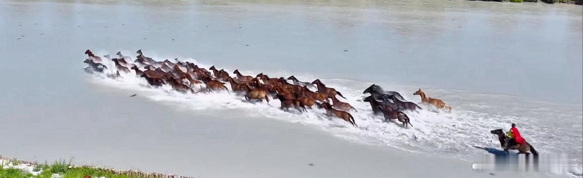 疾风知劲草，板荡识诚臣。勇夫安识义，智者必怀仁。 