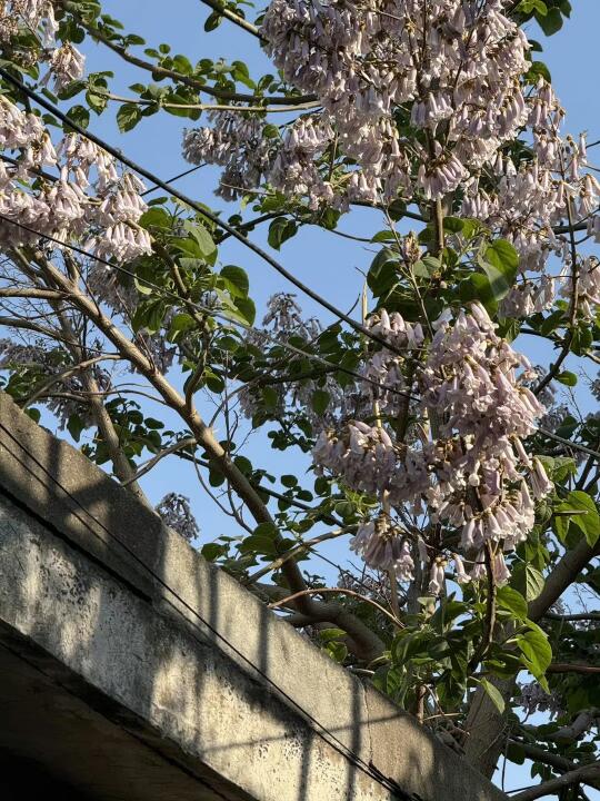 城市的街角