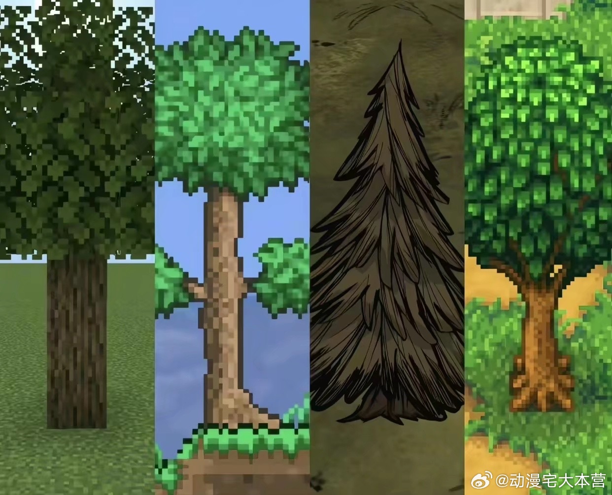 我的青春也不过反反复复砍这四棵树 