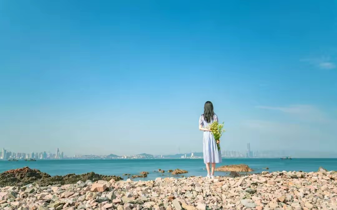 [2025]                 生活本来就没有答案，       