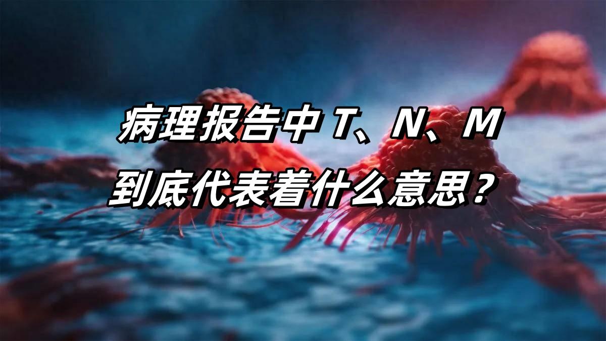 病理报告中TNM到底代表着什么意思？。TNM分期是我们肿瘤科中一种广泛...