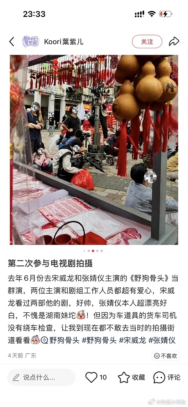 宋威龙张婧仪主演的野狗骨头剧组被爆出司机在现场撞死了三只小猫，还在拍戏期间导致群