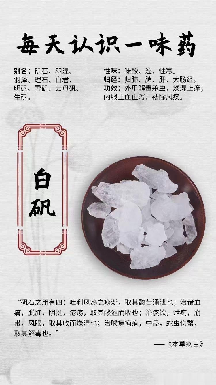 #国医的精诚力量##每天一味中草药##论道岐黄# ​【一天一味中药材】[鲜花]白