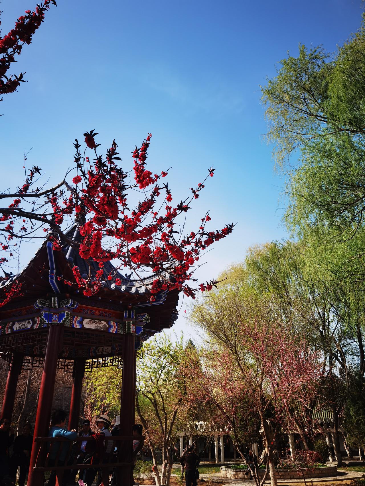 抬头看到什么惊呆了？
今天早晨出门，看到 天空和楼宇相映衬，一瞬间就被惊呆了，那