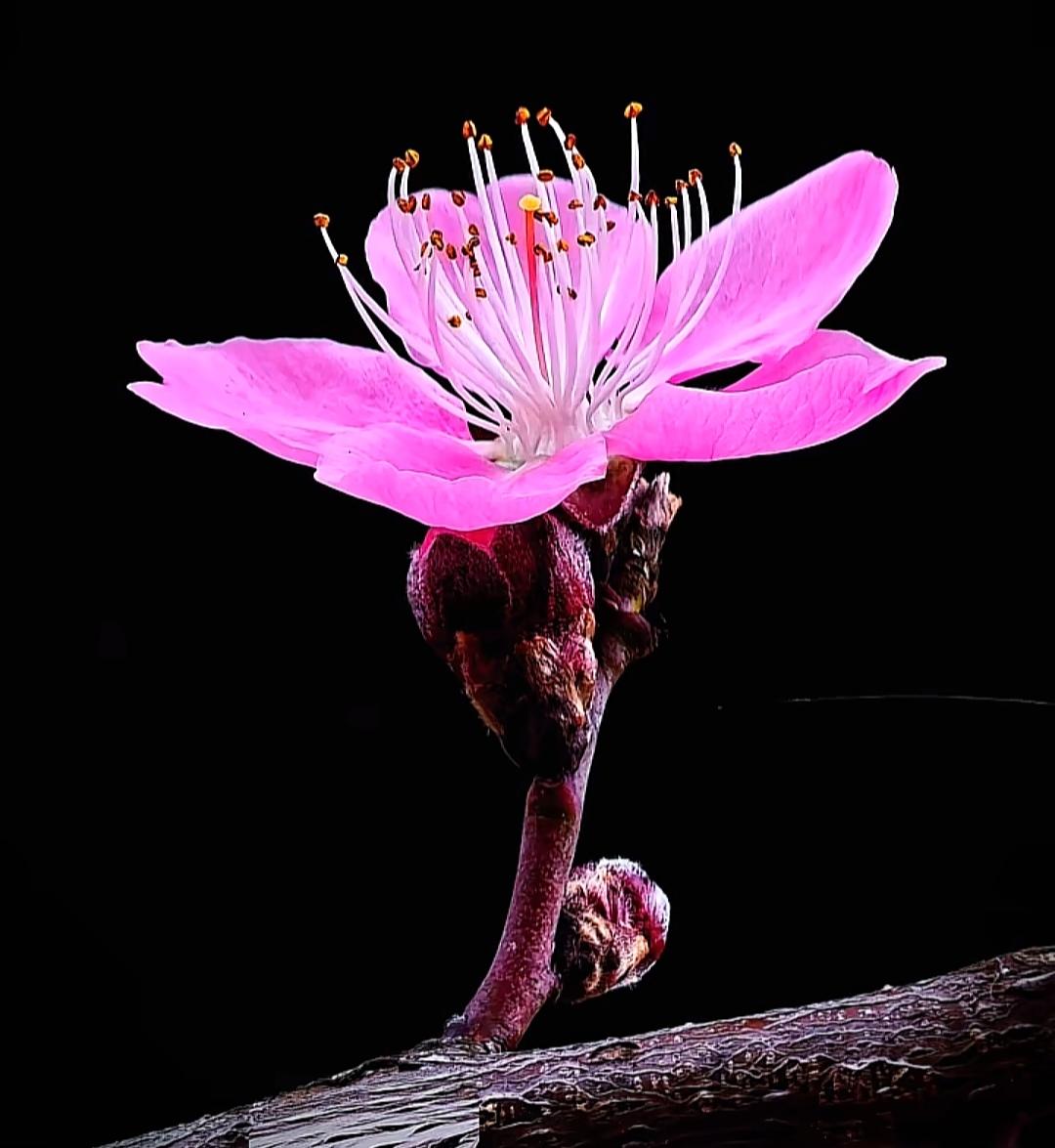 时光是一条无声的河，少年时总爱逆流而上，追逐浪花里的喧嚣与热闹；到了一定年岁，便