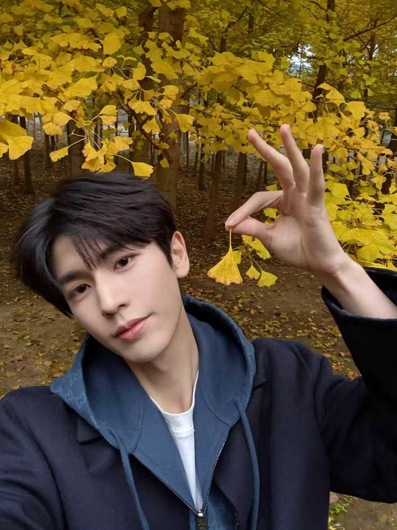 张凌赫秋日银杏随拍来啦，好帅气一男的，想和  一起打卡浪漫秋日 