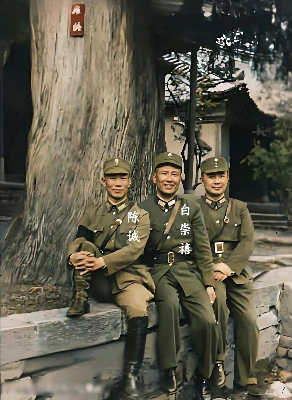 这才是陈诚与白崇禧的真实模样，大家瞧瞧！这不是演员所饰演，确是货真价实的本人，面