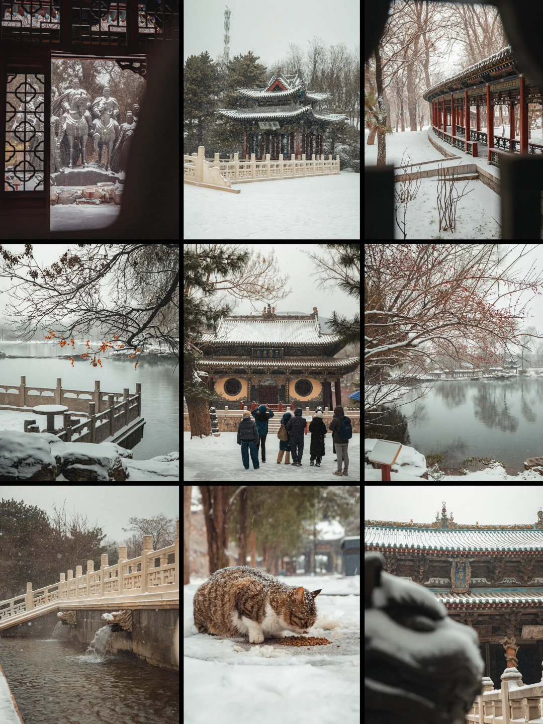 雪落晋祠时，红墙凝住冬的白，古亭浸在墨色里，雕梁与落雪相映，连猫咪都蜷在檐下，把