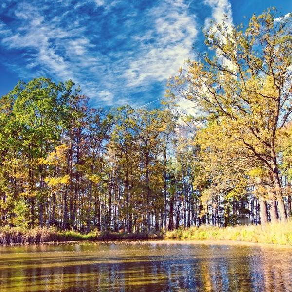 描写春天美好景色的四字词语有哪些