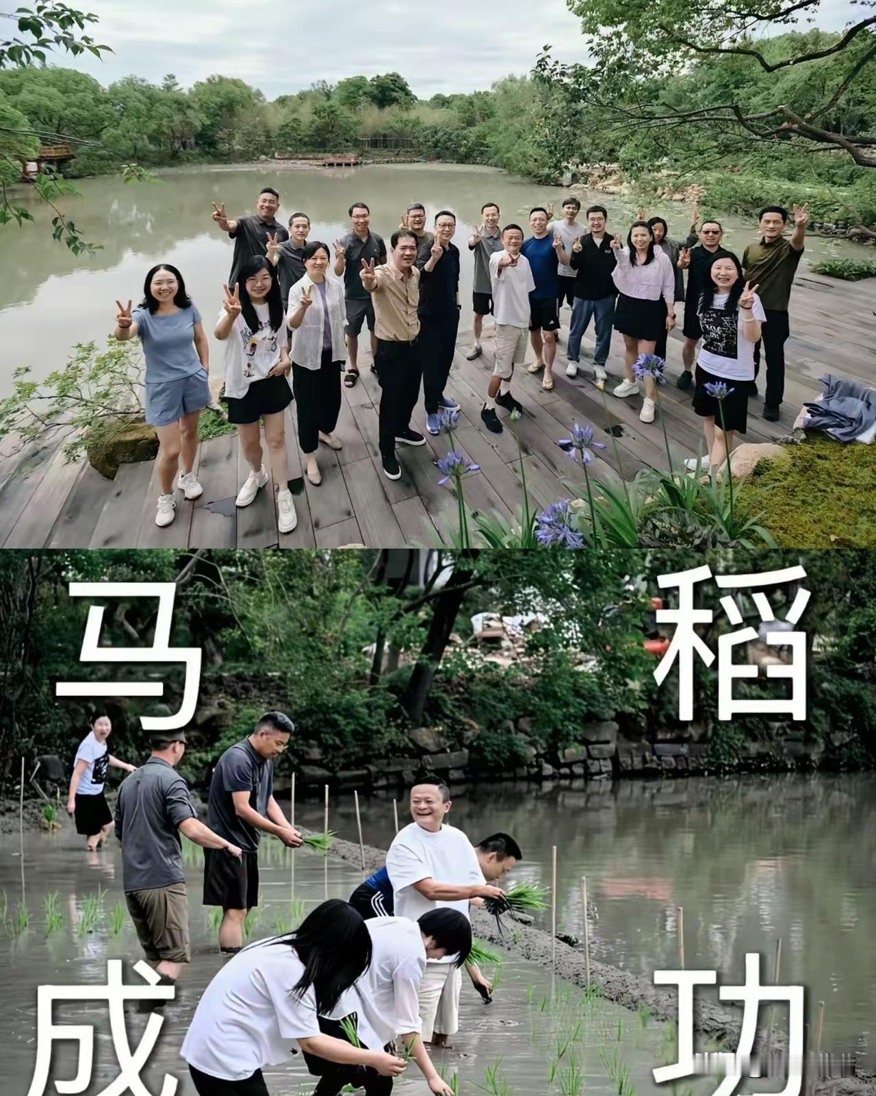 阿里这热火朝天的阵仗，
看来搞3800亿AI大单，
还得先学会去田里插秧？

图