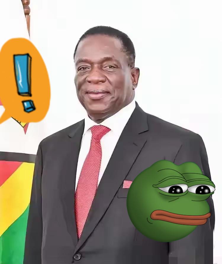 前脚巴拿马不顾中方反对，强行接管了巴拿马港口，后脚津巴布韦突然宣布暂停锂矿出口。