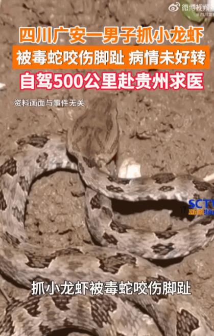 悲剧还是发生了！四川广安，一名男子深夜私自前往水田捕捉小龙虾，没抓到几个，反倒惨