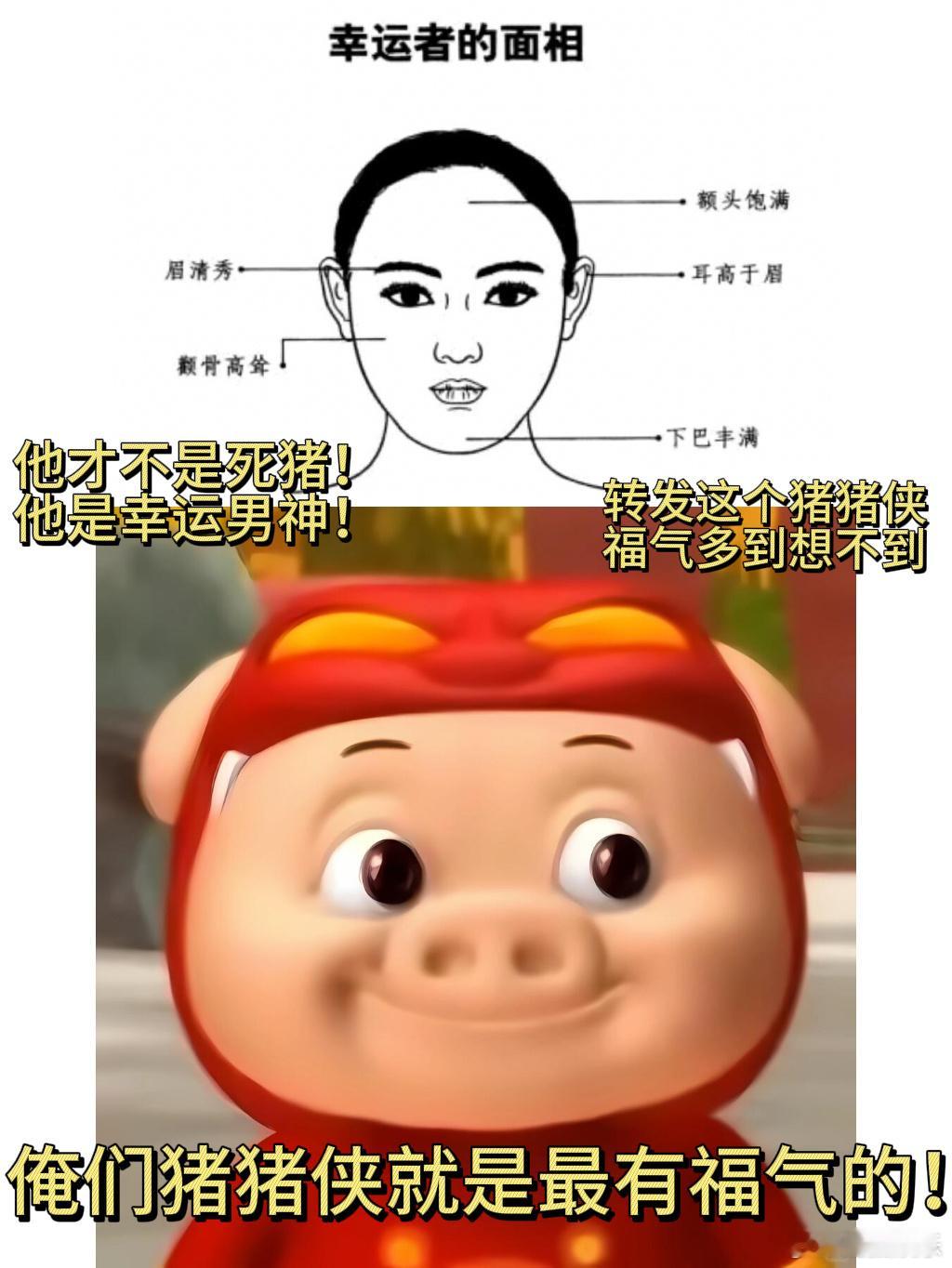 老一辈人说珠圆玉润有福气是真的所以说猪猪侠的三庭五眼比例还是很权威的嘛！我就说我