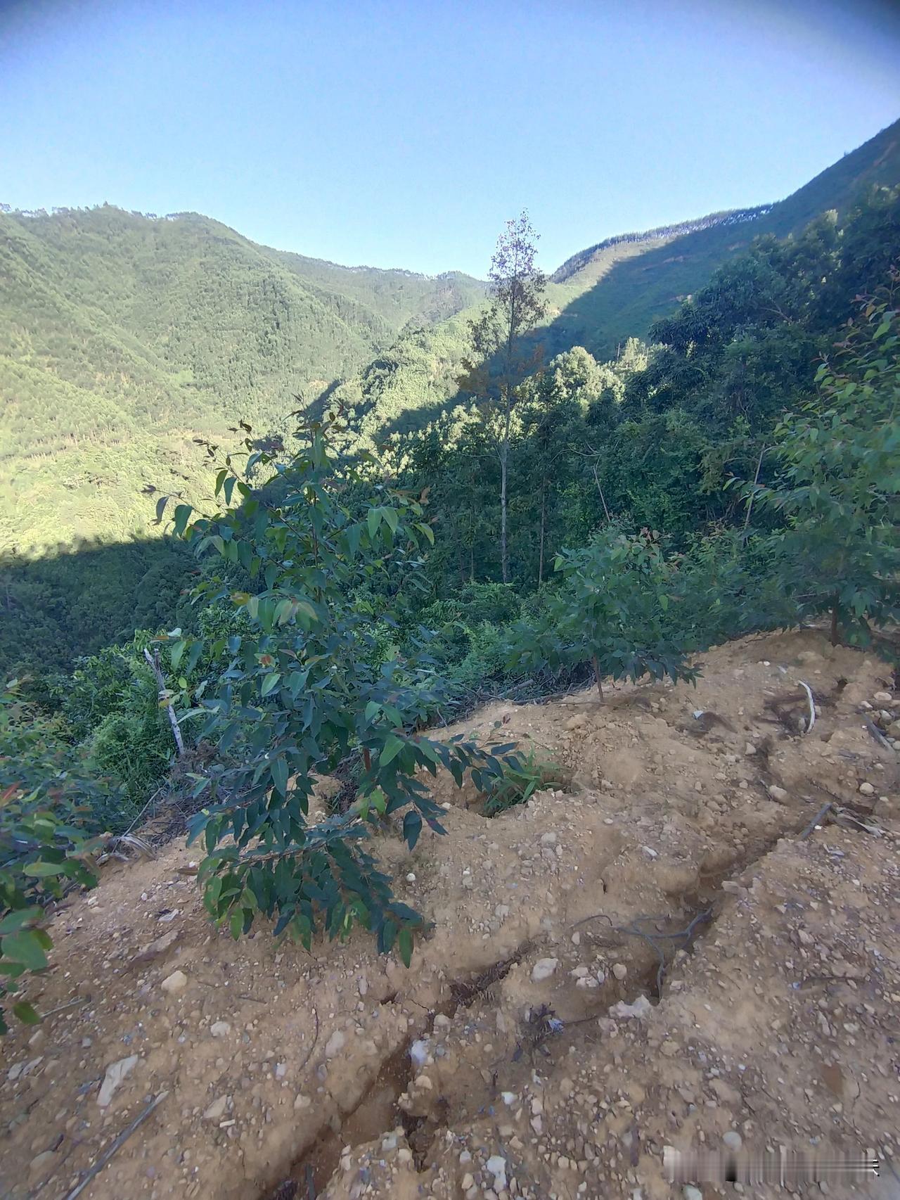 今日，虽已错过九月九，但我仍踏上了登山之旅，只为弥补那份未能在重阳登高的遗憾。