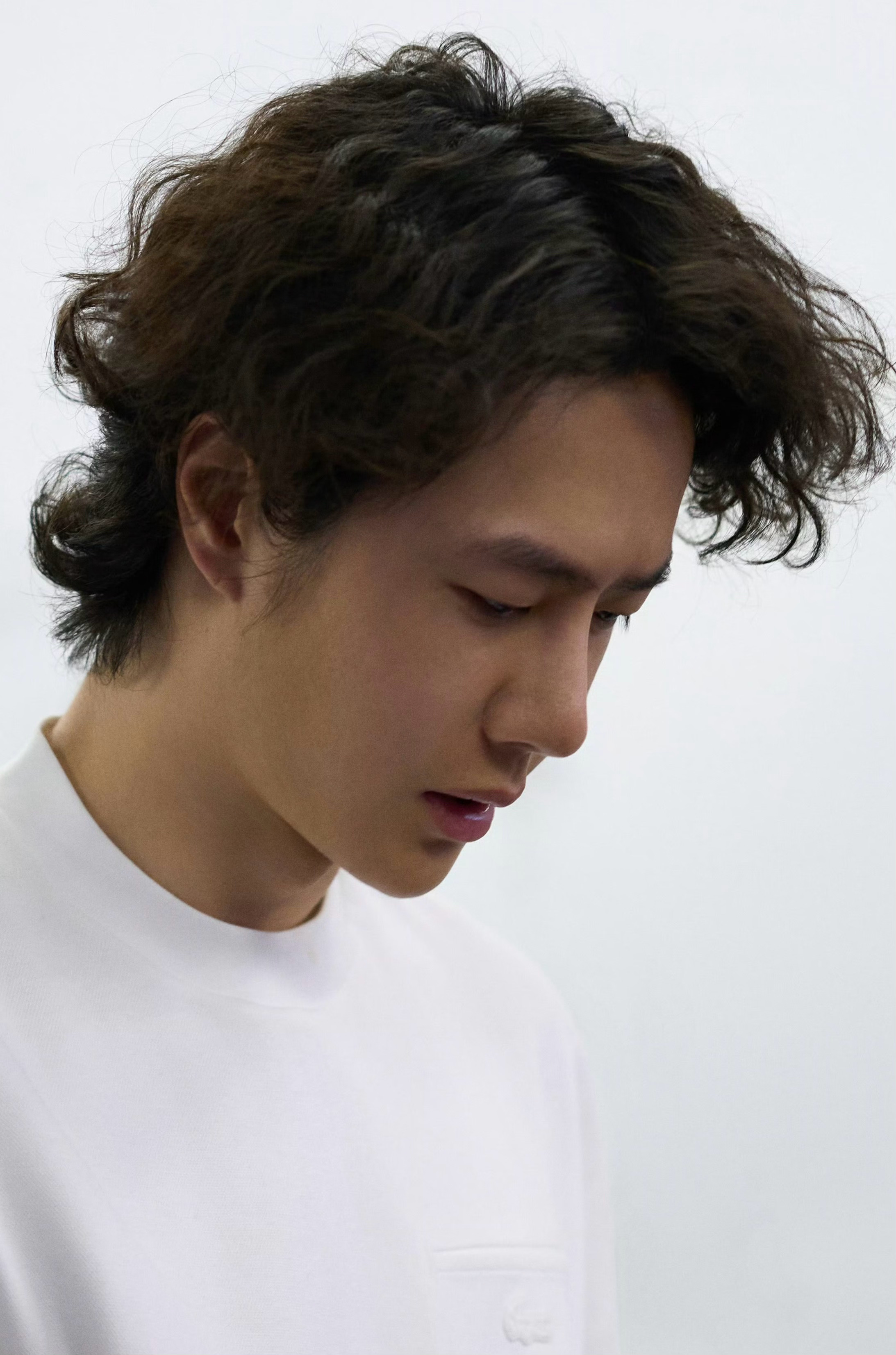 ^^小🌰变成完全长卷毛小咪的全过程 