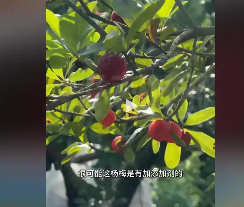 食品安全靠记者。