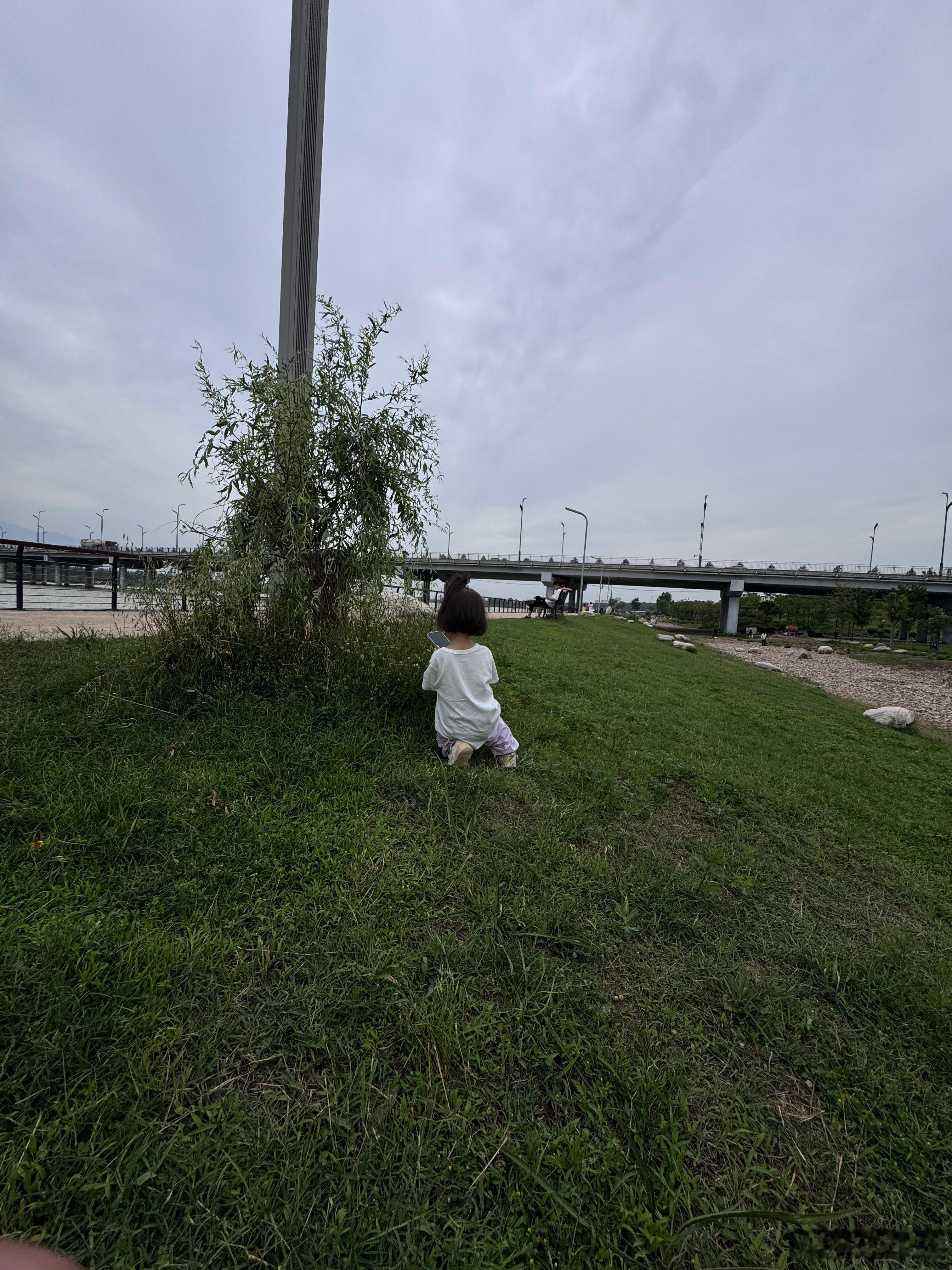 小小摄影师为了一朵花跪下来拍 ​​​