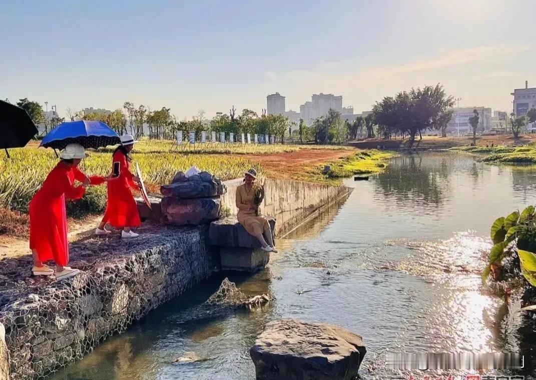 七绝·岁月慨叹
雁影渐消云外去，蛩声犹绕耳边吟。
重阳佳节情何限，岁月匆匆感慨侵