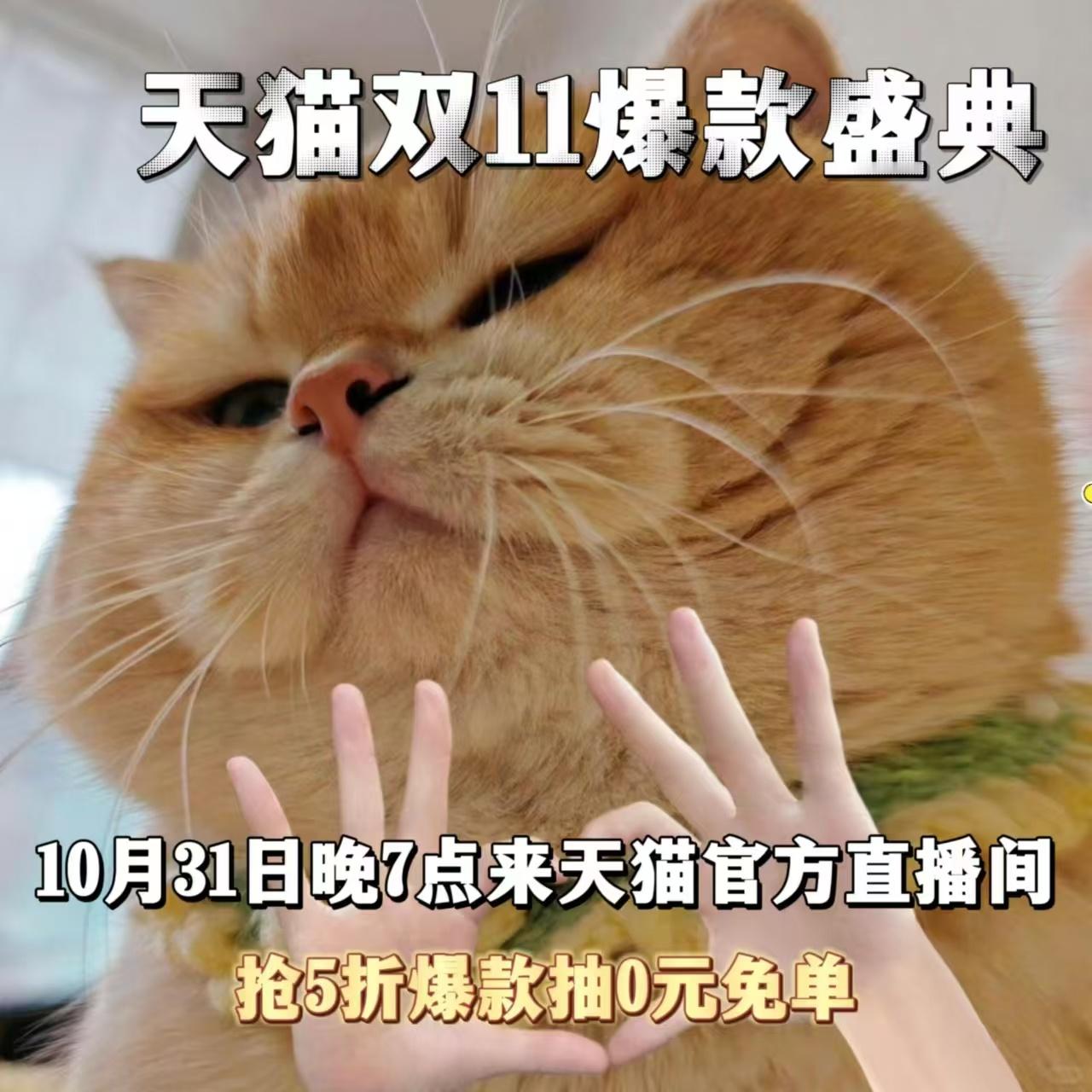 #双11今晚在天猫五折抢爆款#错过这个村还真就没这个店了，天呢这次还不赶紧抢呀 