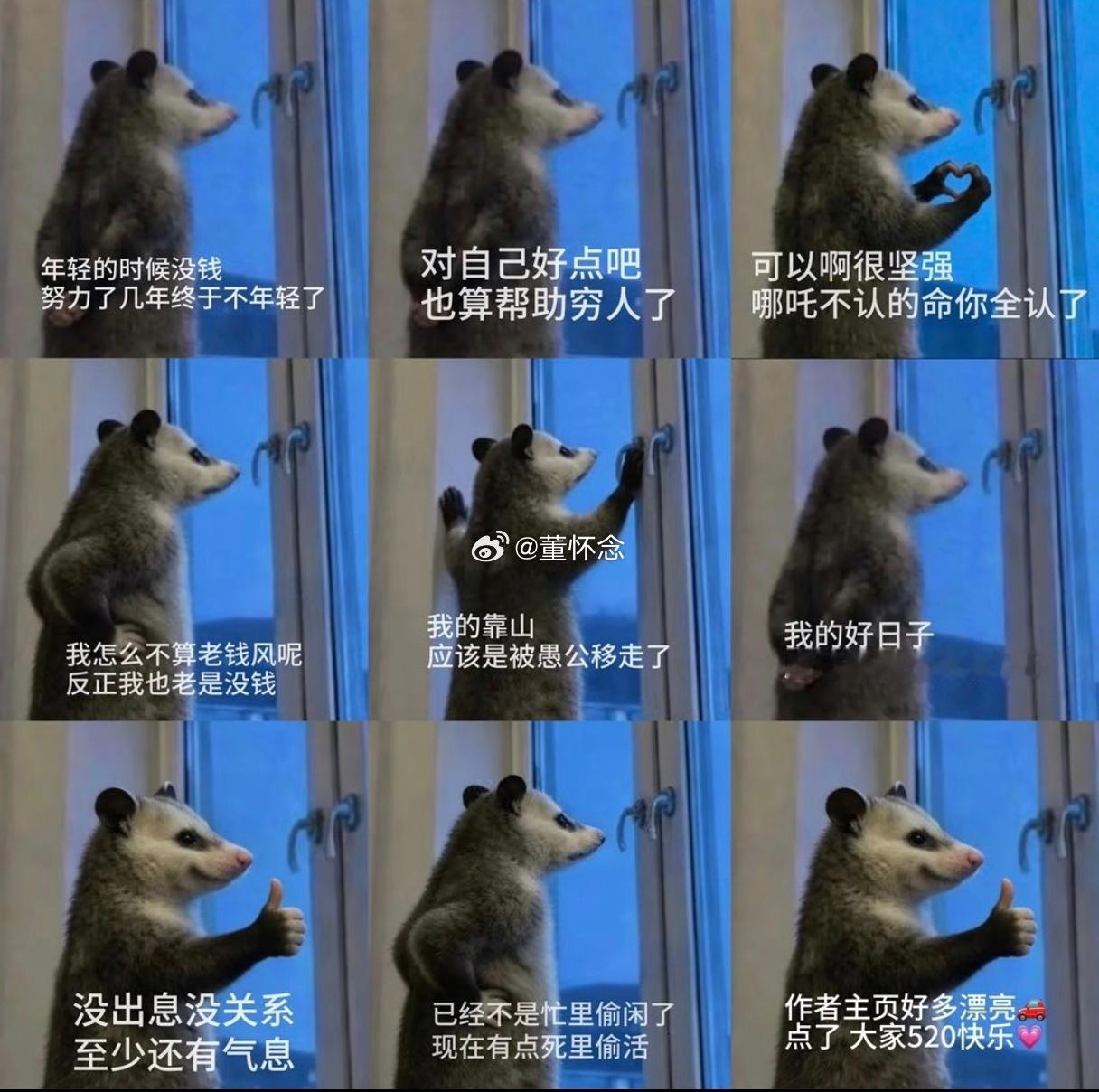 负鼠表情包 负鼠表情包笑点在哪里啊。我觉得唯一笑点就是我家真有很像的窗户