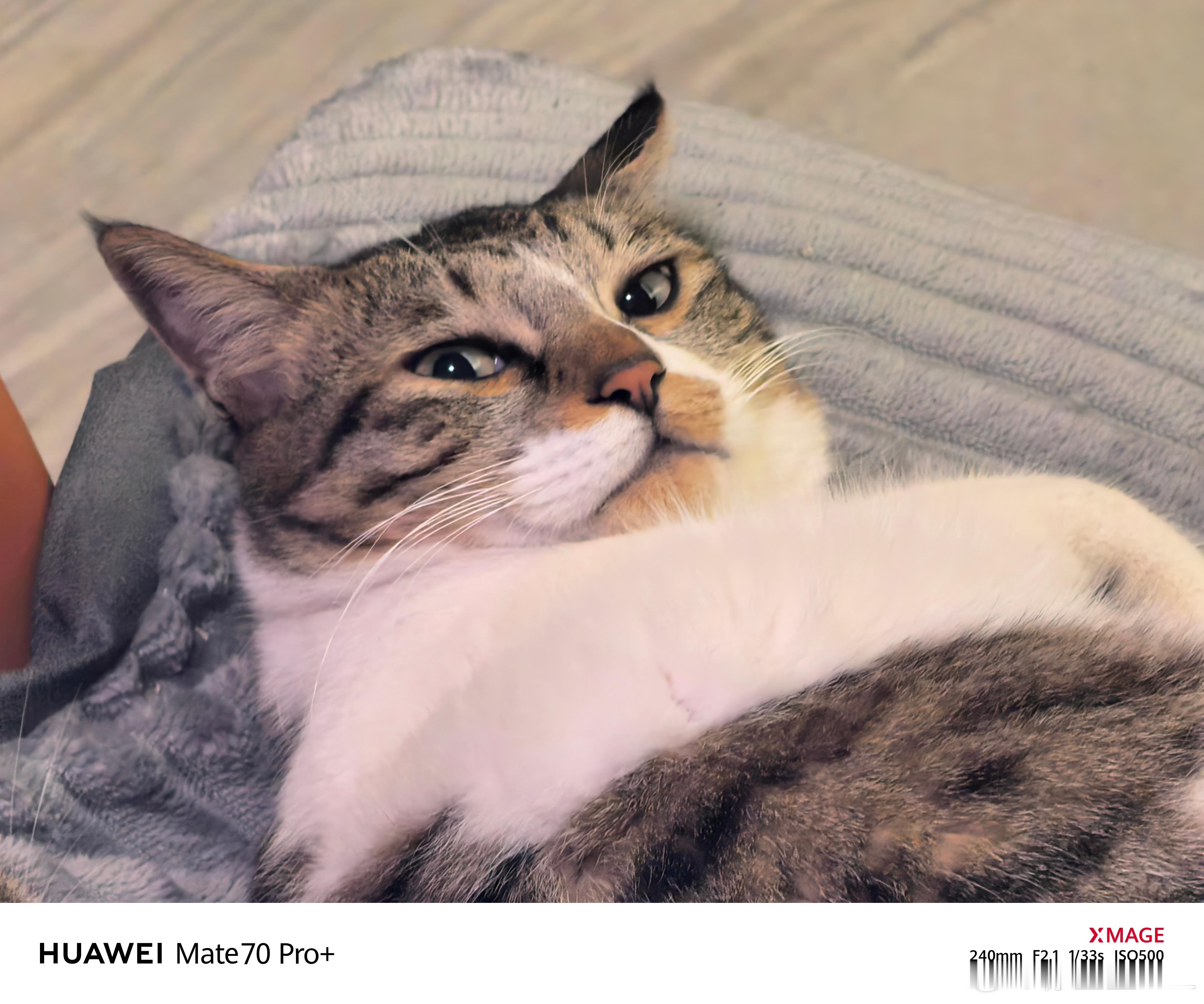 最朴素的新能源选车标准。三元锂电池。双叉臂。后置卡钳。只要同时满足这三点。这台车