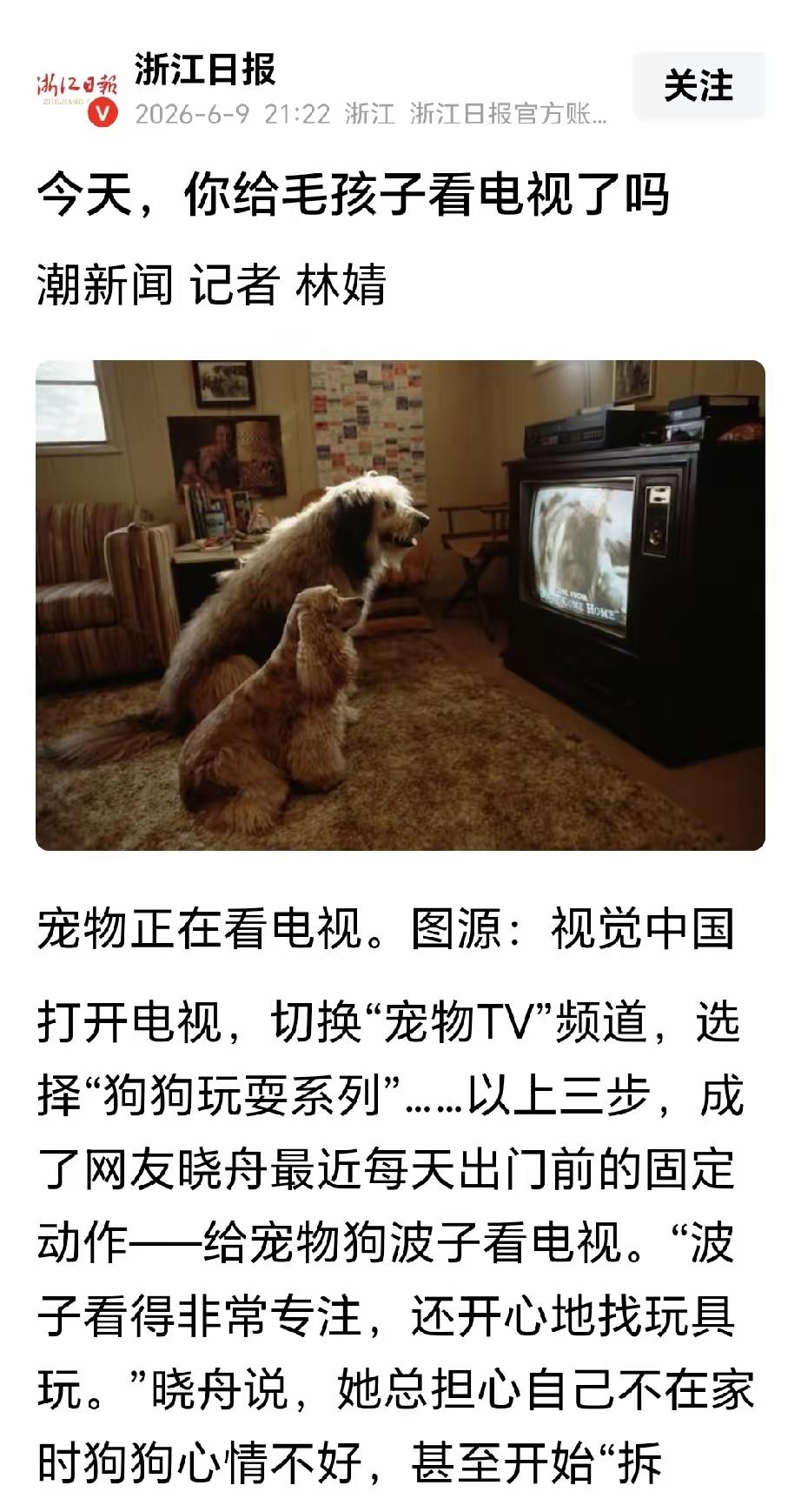 为什么不关注民生，却关注起宠物了？还把宠物称为毛孩子，这不是进步。