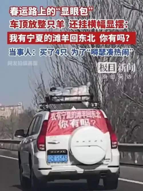 车顶驮羊1800公里回东北：这波“硬核炫富”