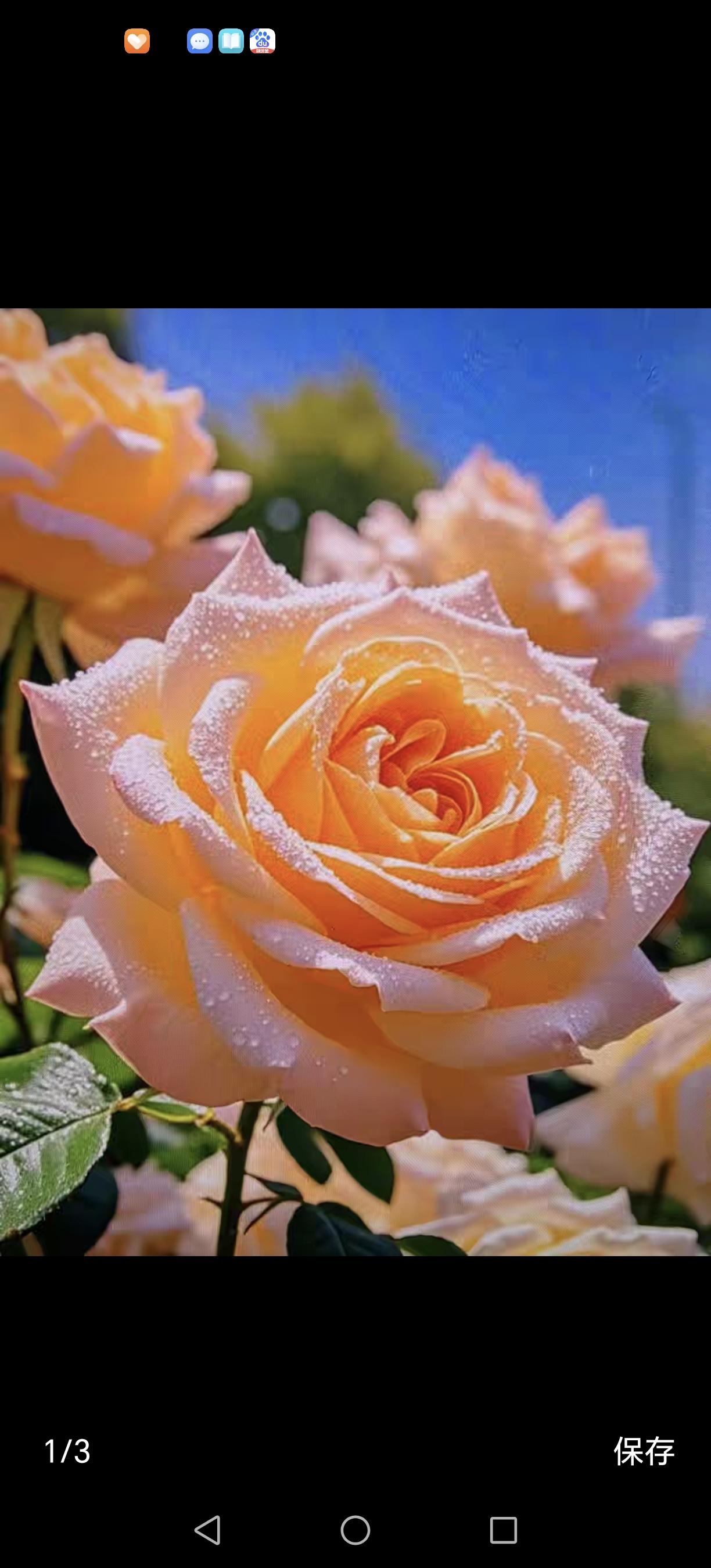 《在不同的高度，彼此无言》

大家好，今天我想和大家分享一段平凡却深刻的故事。这