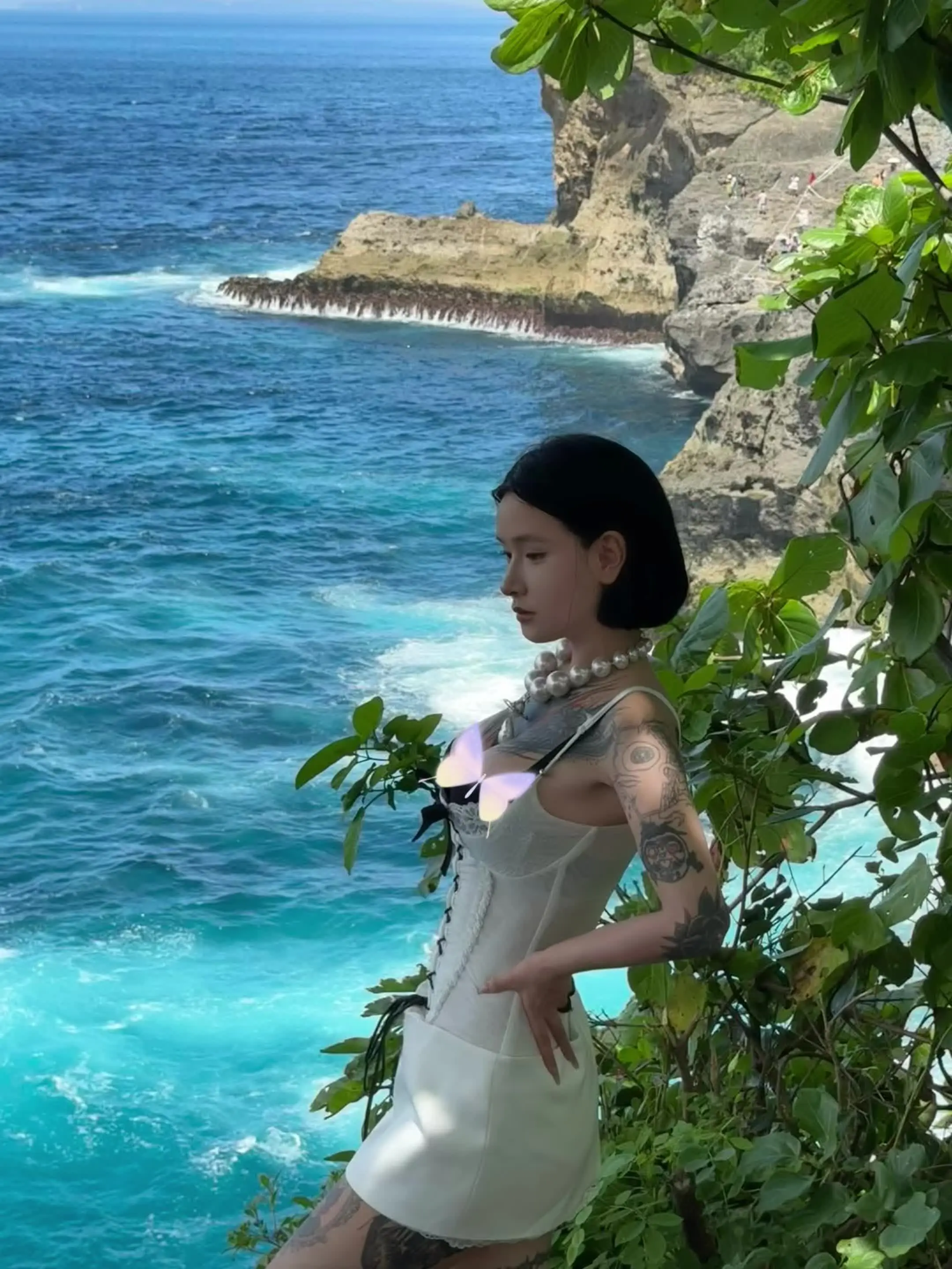 果子腐烂一地的时候 种子也在发芽