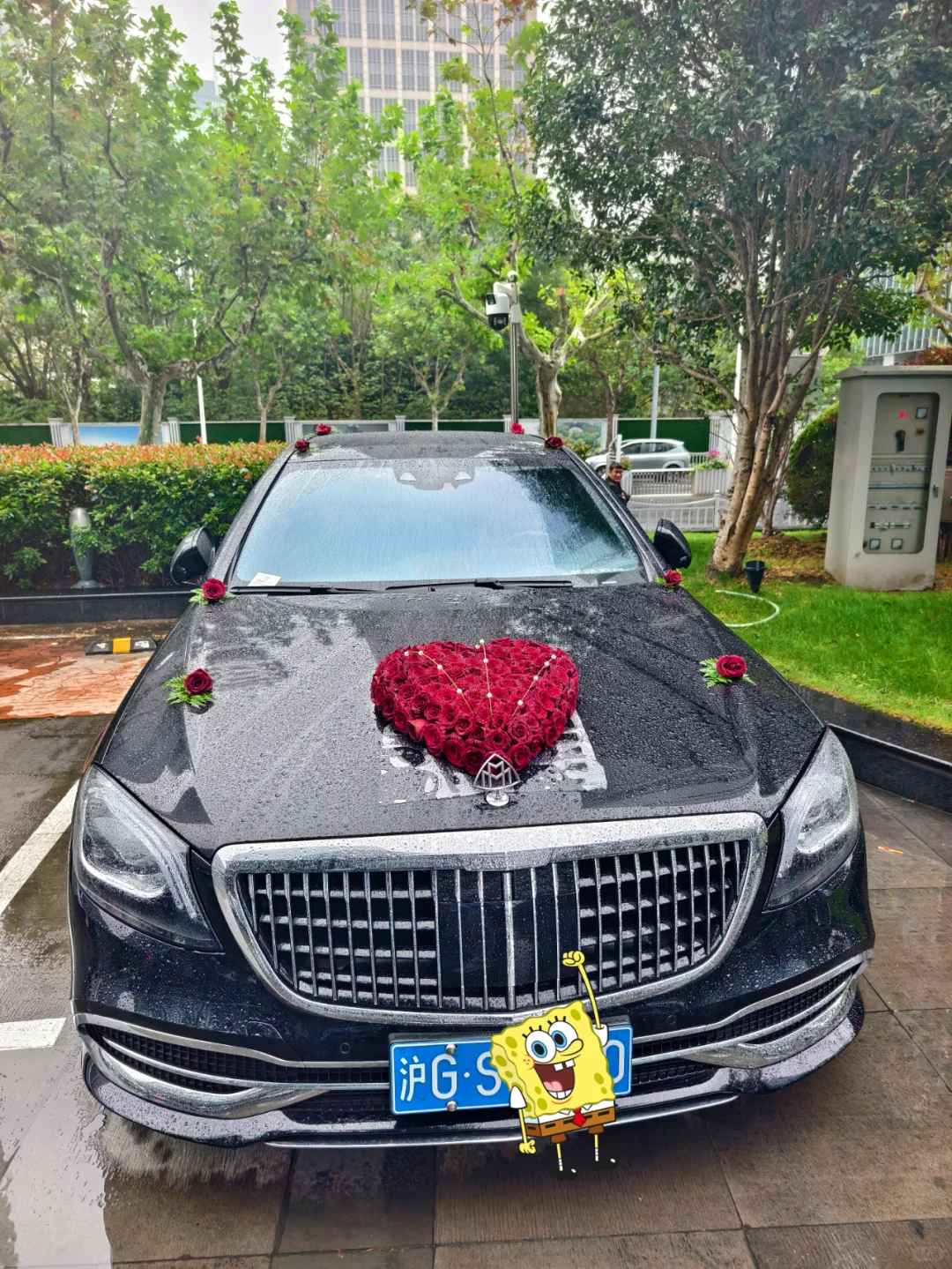 1019是啥日子啊？|一家酒店有这么多婚庆？