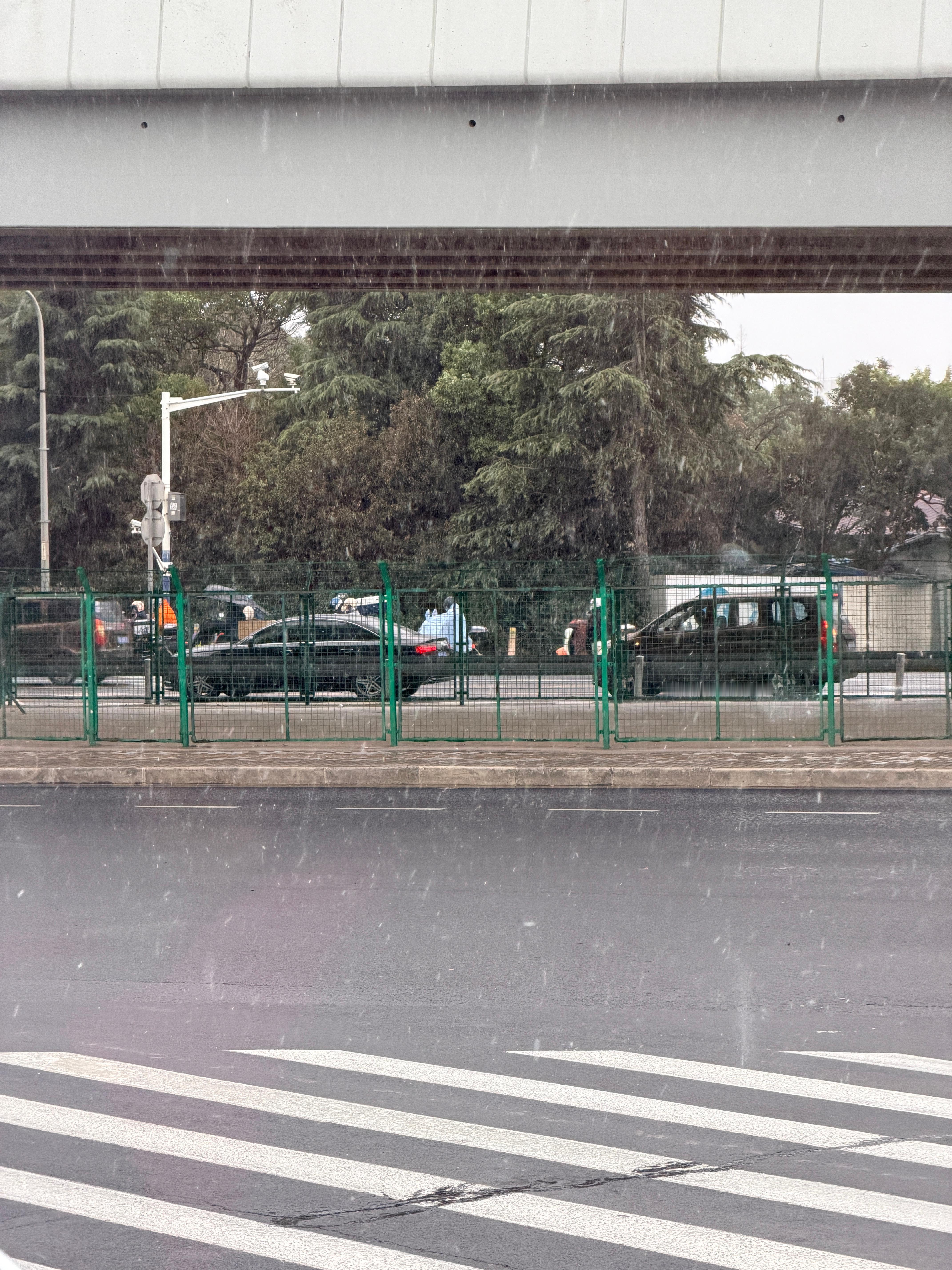 杨瀚森 下雪了❄️上海下雪