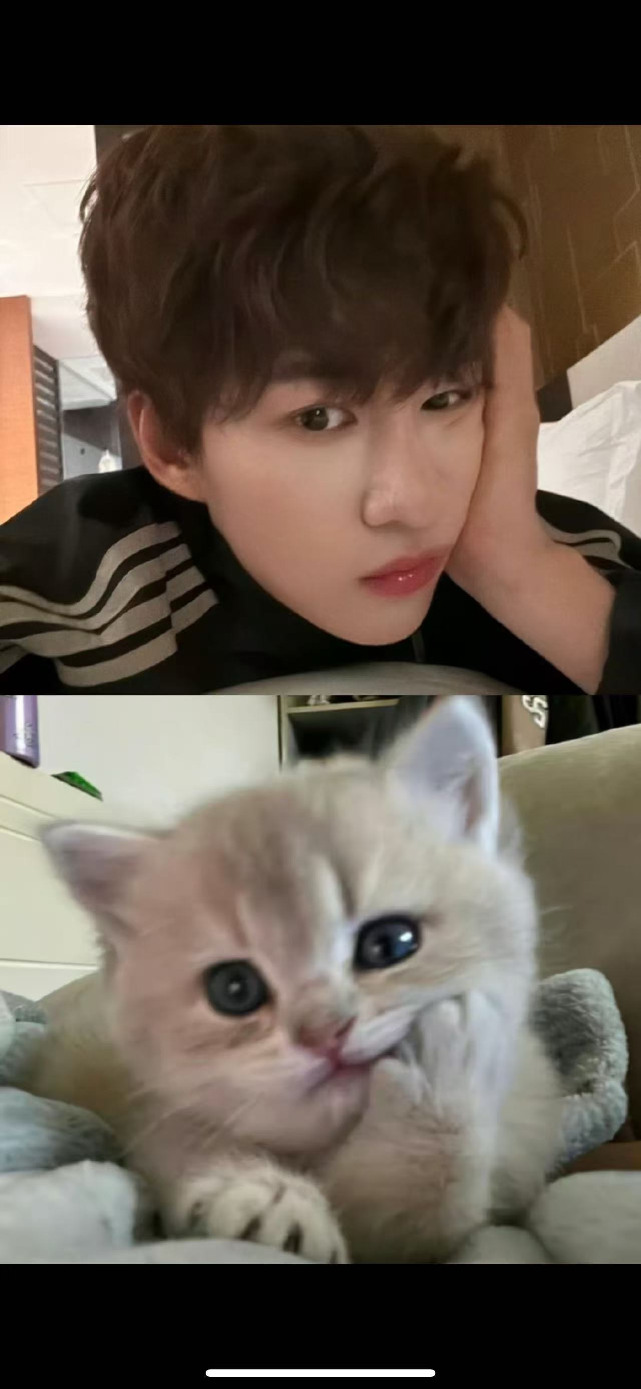 嘘🤫钥沅在思考了不要打扰小猫咪思考猫生我们安静的睡觉，一觉醒来小猫咪就出现啦！