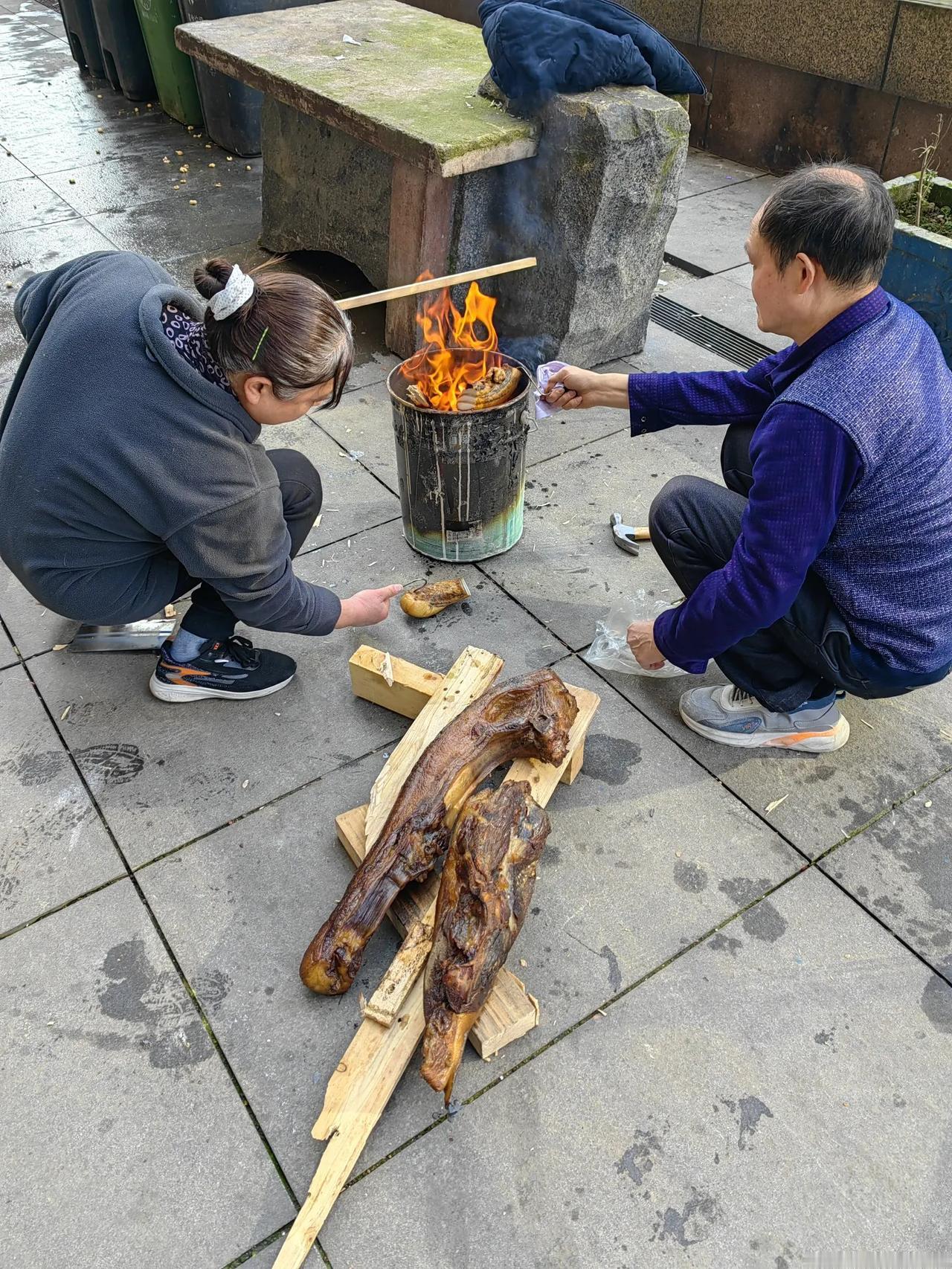 分享一张你最近随手拍的照片吧