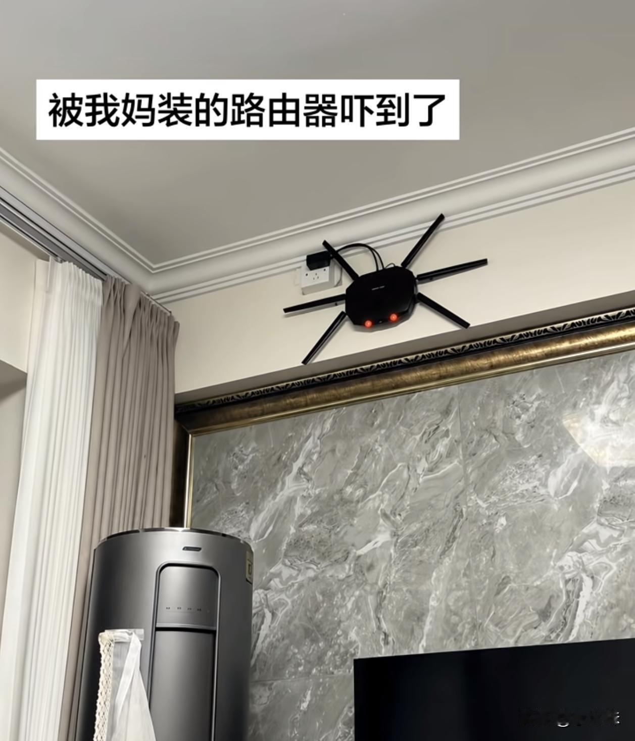 我第一眼看以为真的是蜘蛛