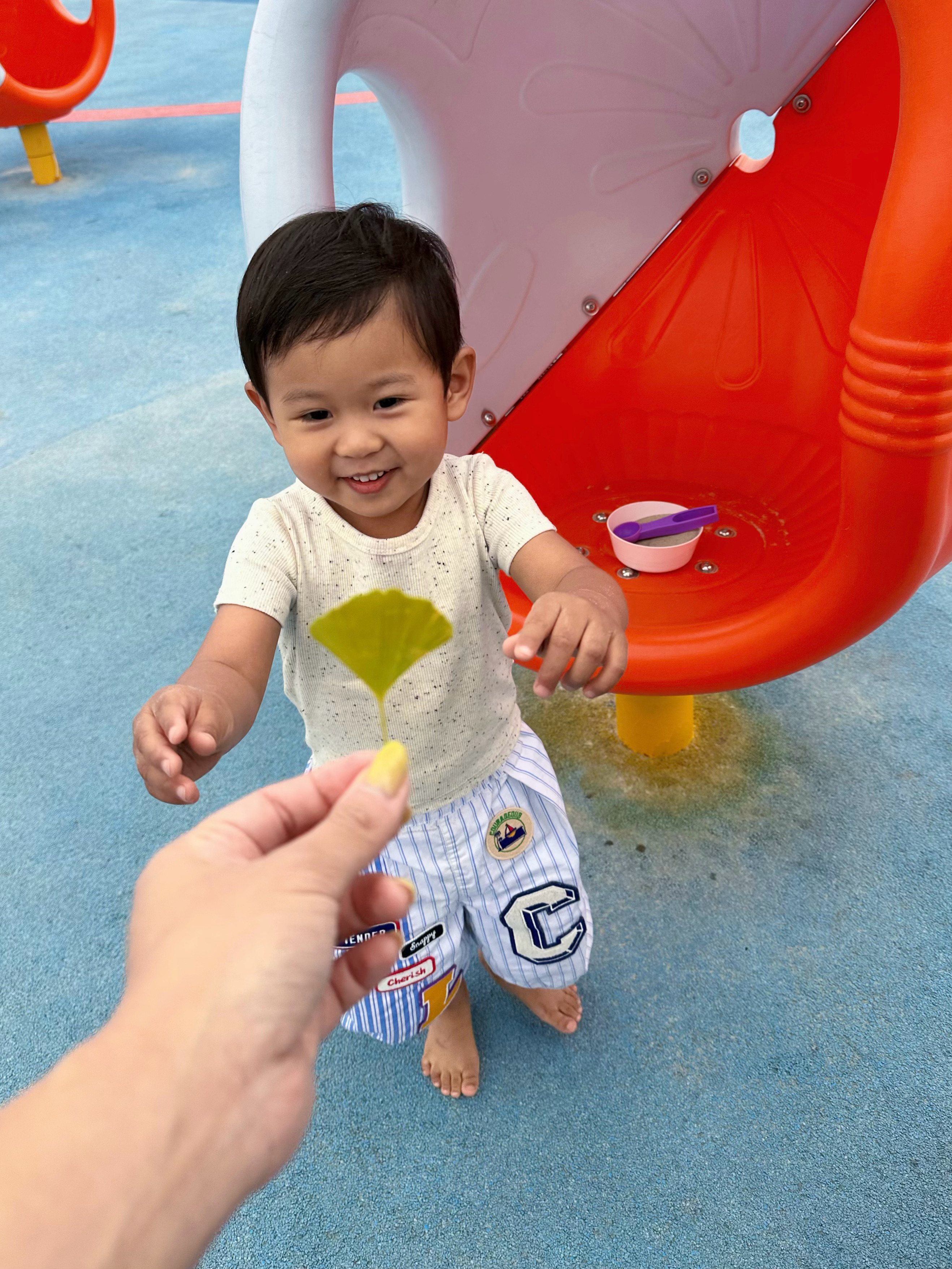 捡了一片漂亮树叶送孩子，孩子眼睛都亮了