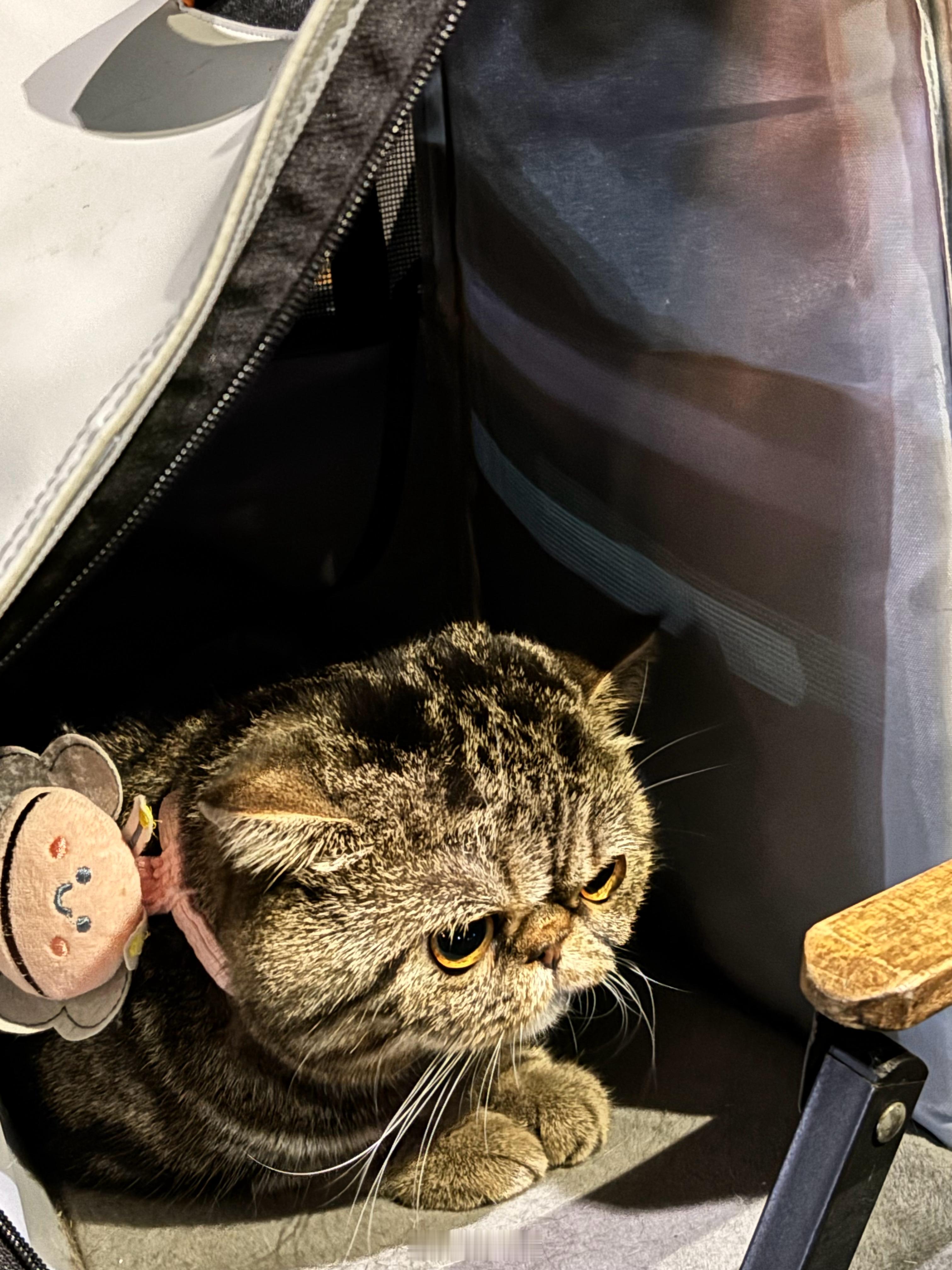 大半夜，吵着要出来吃烧烤，一点办法也没有