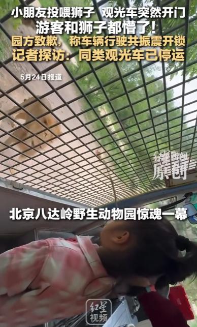 2026年5月21日下午，北京八达岭野生动物世界发生了一桩让人后背发凉的惊险事件