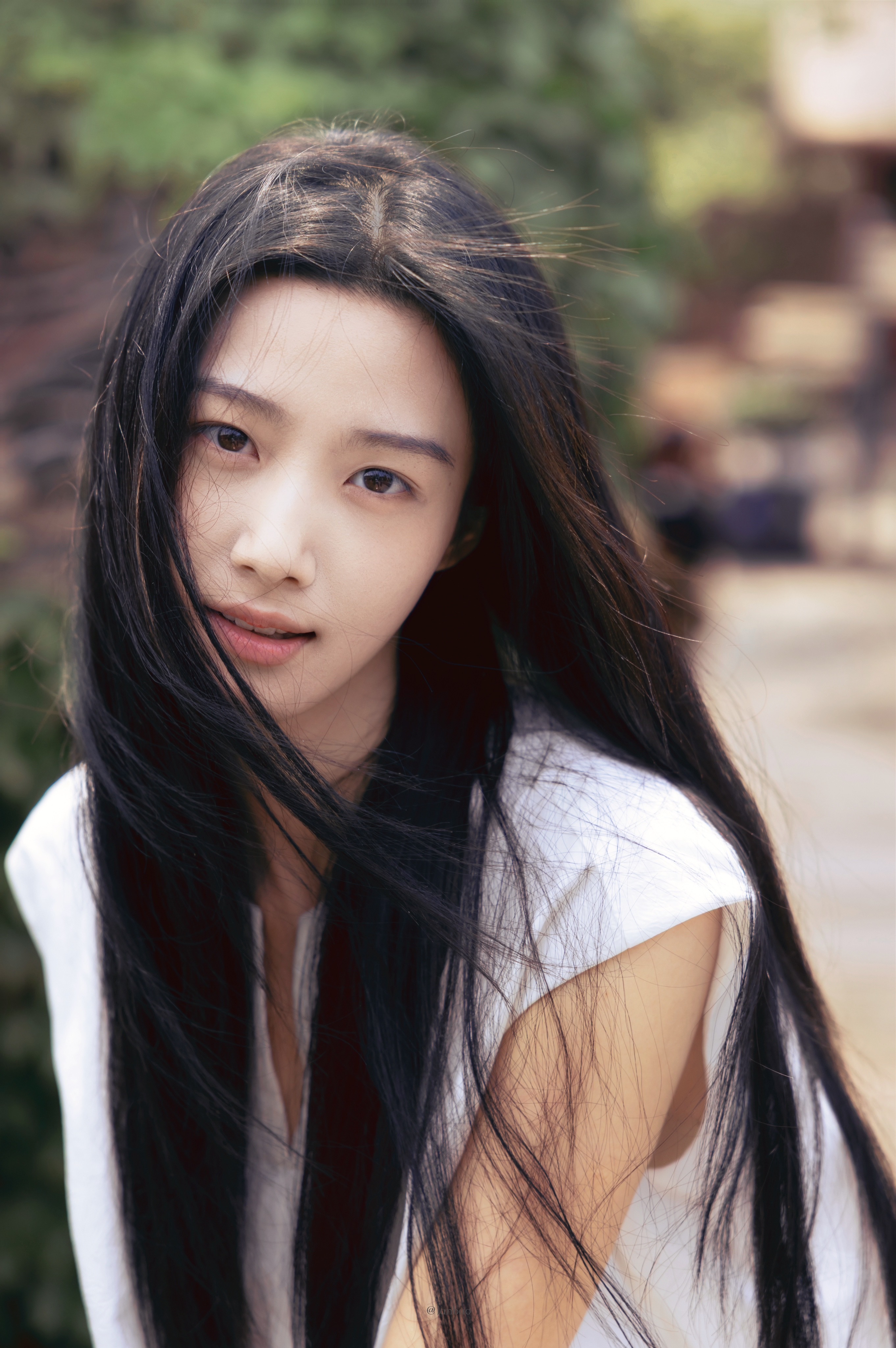 恋人怀中樱花草 听见胸膛心在跳卢昱晓