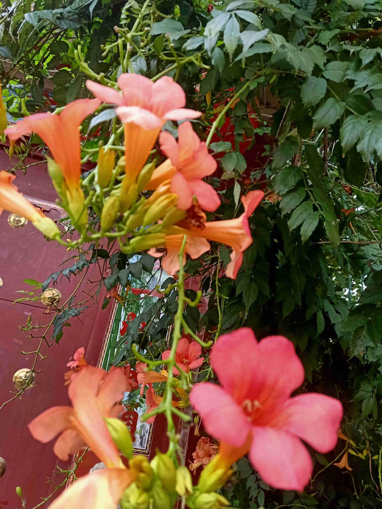 我的今日状态：😁轻松愉快
我这里的天气：🌤️多云