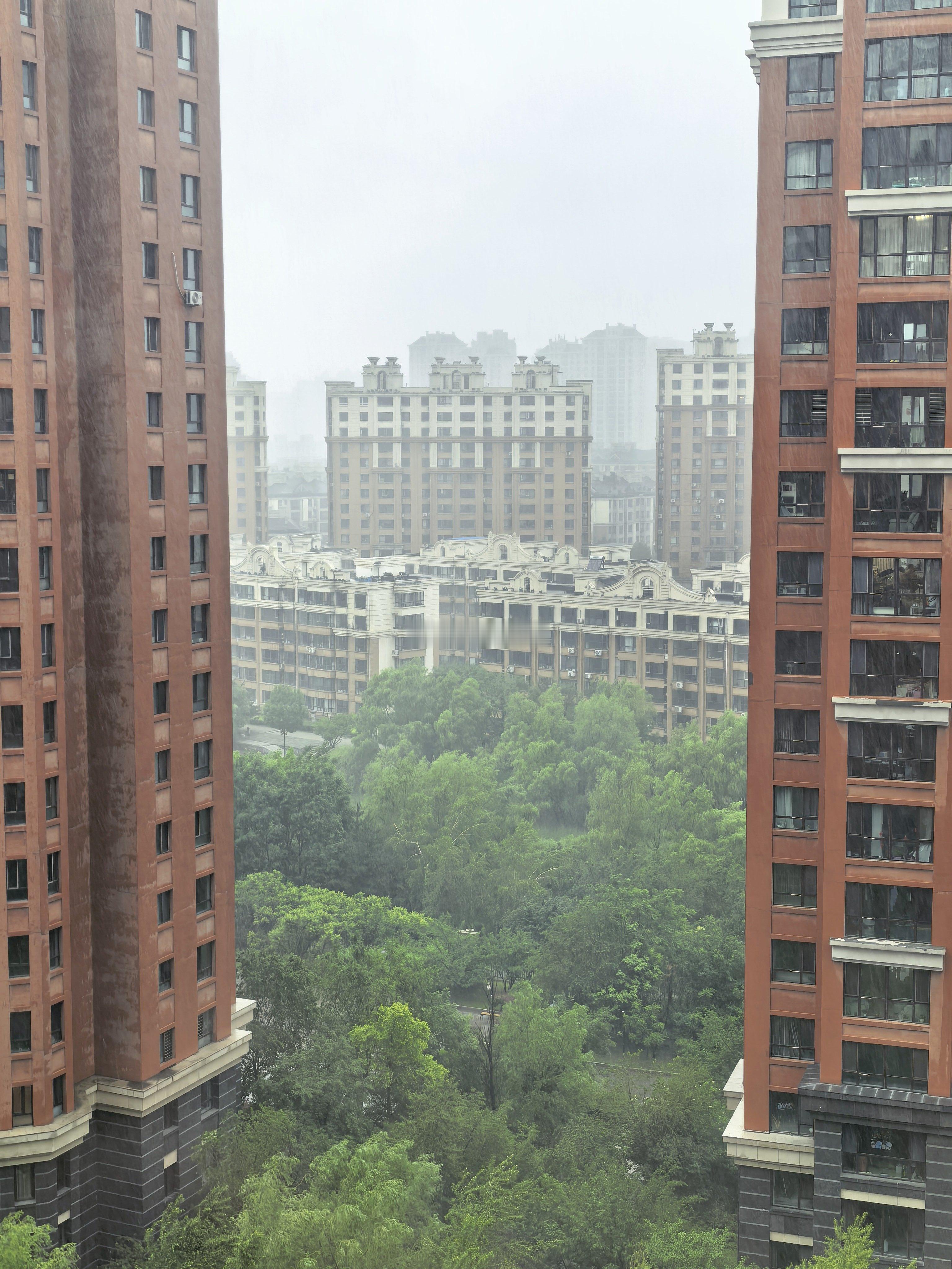 2026年的夏至和父亲节是同一天没见到太阳☀…… 