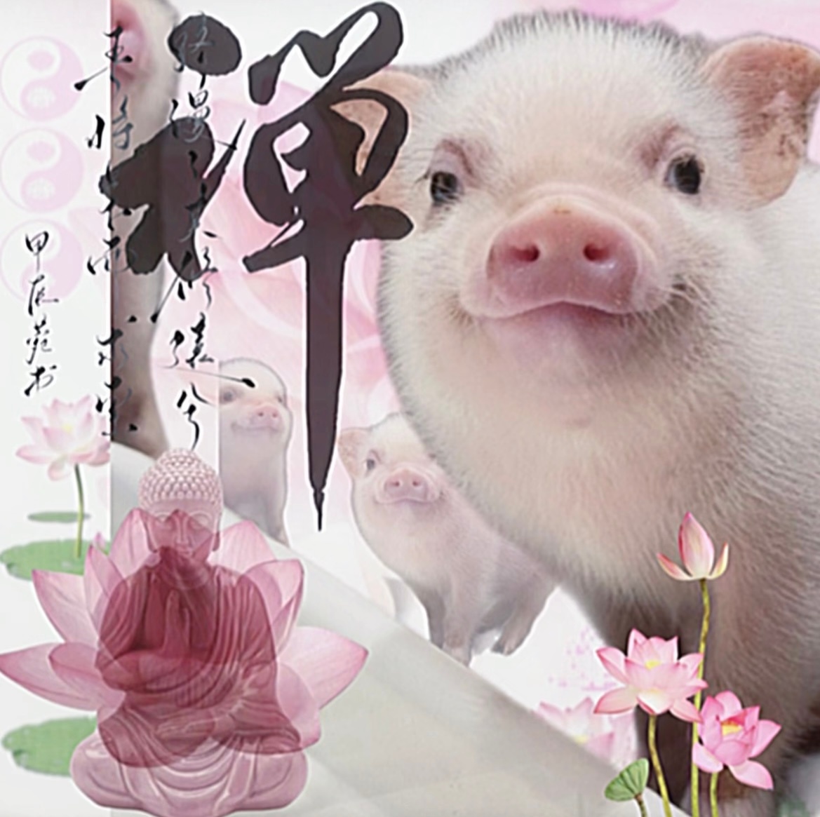 古茗的周边到底是啥啊 不会真整什么双人卡吧 