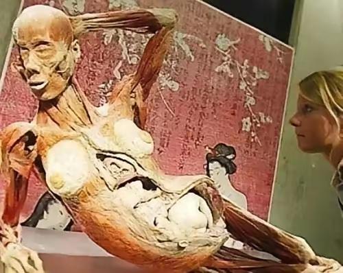 大体老师，就应该出现在讲堂上。出现在展厅，真的是艺术技术的需要吗？
中国文化有死