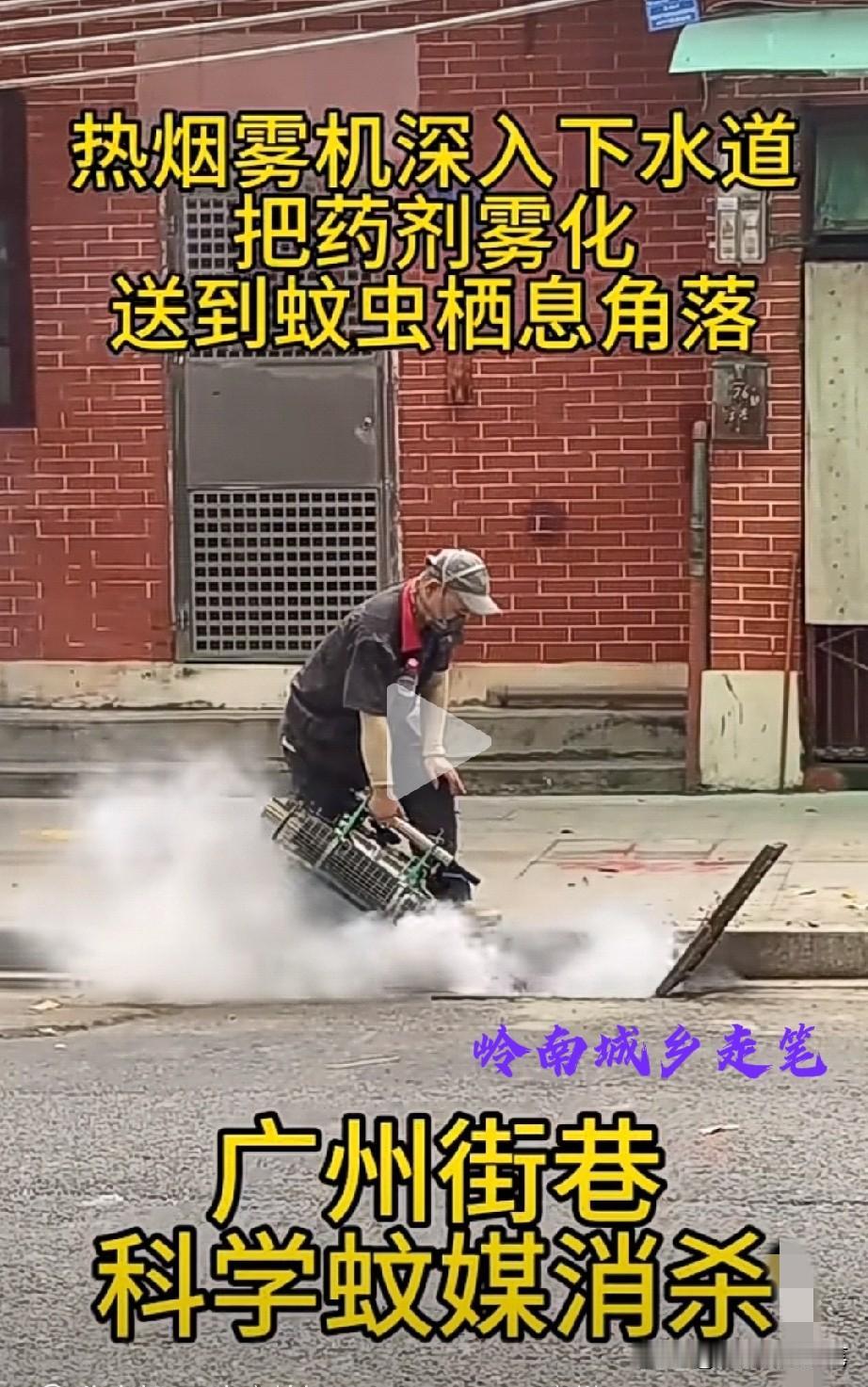 广州下水道灭蚊，热烟雾机狂喷“微毒”白烟！（如下图所示）一位工作人员戴着面具掀开